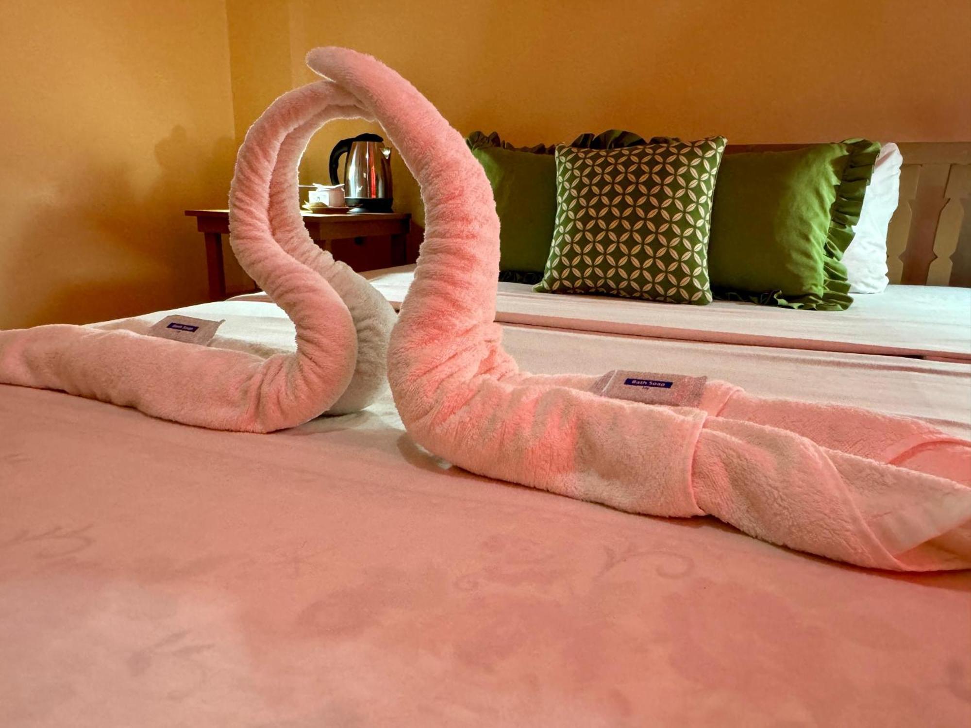 Ocean Breeze Inn Manoc-Manoc 部屋 写真